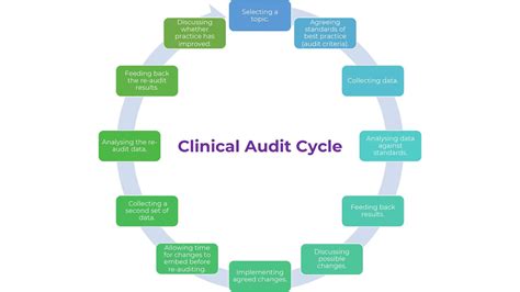 Toradh íomhá ar Key Processes of a New Audit Framework
