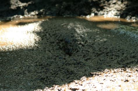 Résultat d’images pour Serial Sinker Quicksand