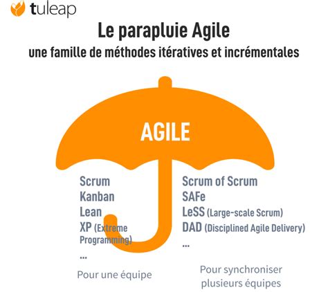 Image result for Agile Principes