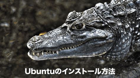 Image result for Ubuntu PC