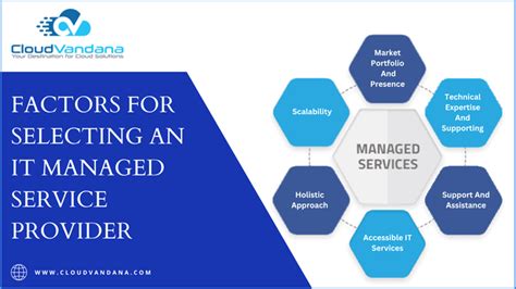 Image result for Managed Service Provider Bio