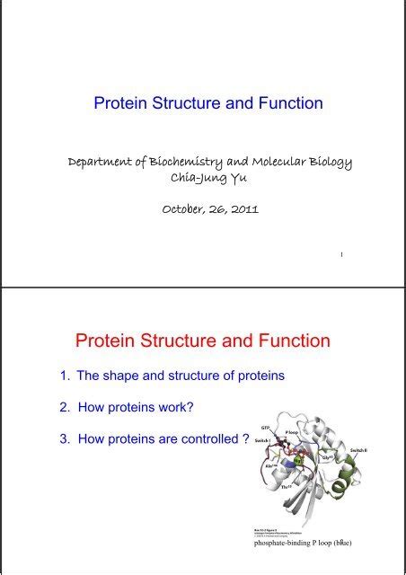 Image result for Protein Structure and Function
