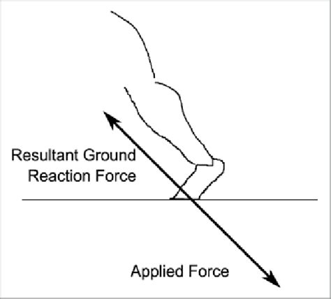 Ground Reaction Force Graph માટે ઇમેજ પરિણામ