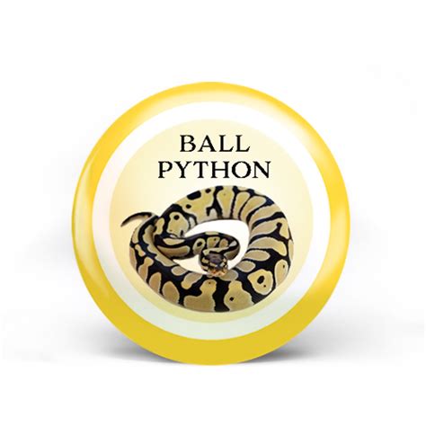 Image result for Python Badge