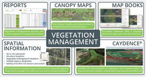 Image result for Computer Vision and Machine Learning Vegetation Management