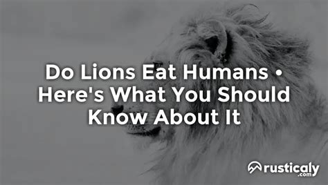 Image result for Lions Eating Humans