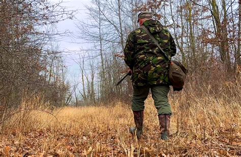 Bugging Out Scenario-এর ছবি ফলাফল