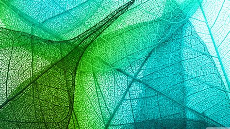 4K Pictures of Computer Transparent に対する画像結果