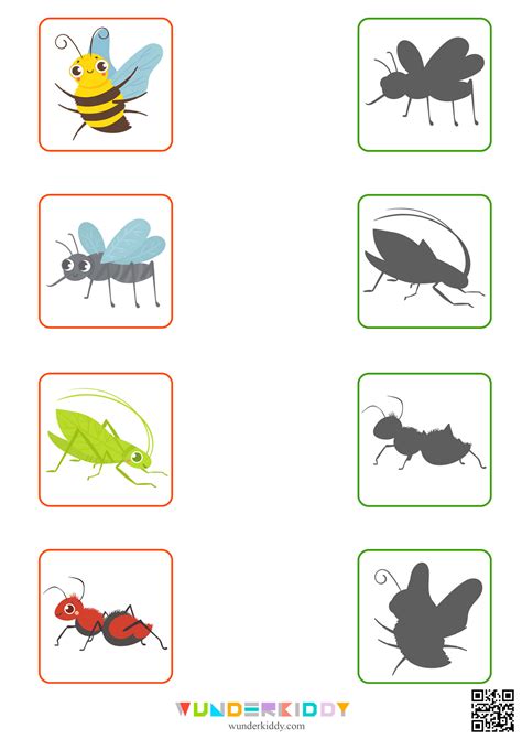 Toradh íomhá ar Insect Matching Worksheet