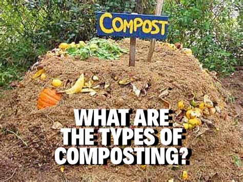 Different Types of Compost に対する画像結果