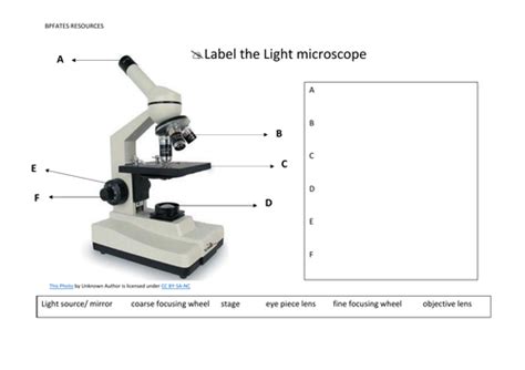 Afbeeldingsresultaten voor Light Microscope Labeled