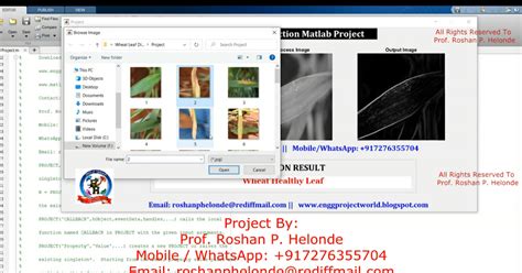 Image result for Plant Disease Detection MATLAB Source Code
