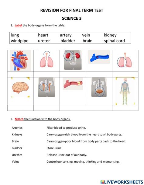 Image result for KS3 Science Revision Worksheets