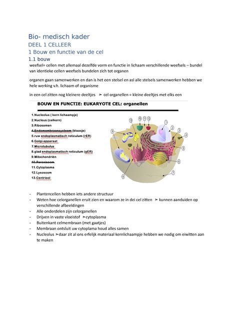 Afbeeldingsresultaten voor Bio Medisch Model