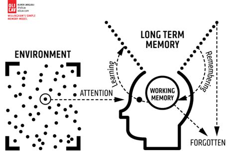 Working Memory Capacity Cognitive Load Diagram に対する画像結果