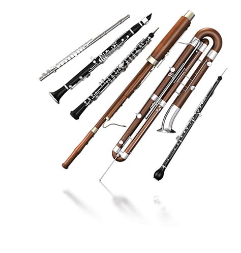 Image result for Woodwind Section Instruments