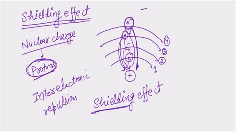 Screening Effect Class 11 に対する画像結果