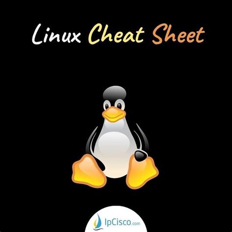 Image result for Linux Chmod Cheat Sheet