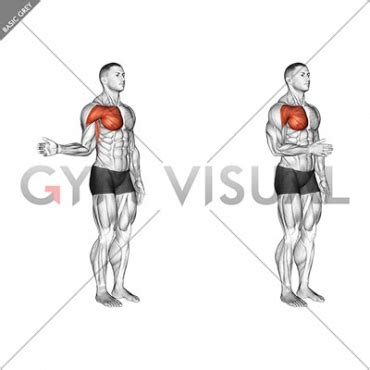Internal Rotation of the Shoulder Muscles に対する画像結果