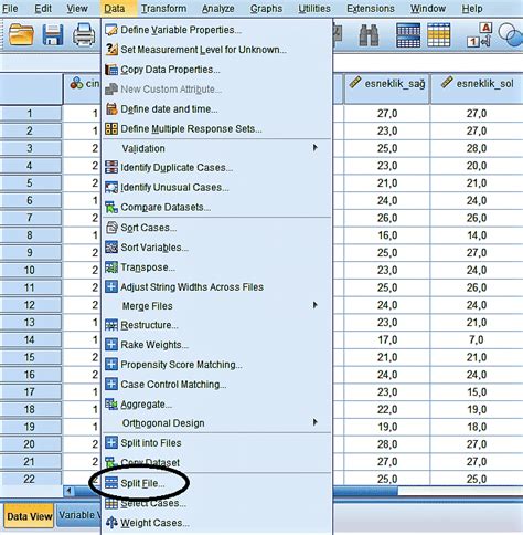 Image result for What Is Split File in SPSS