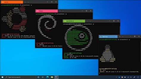 Arch Linux Windows Subsystem に対する画像結果