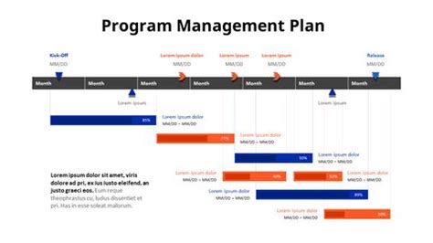 Image result for Program Maagement Chart
