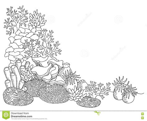 Image result for Coral Drawing Tutorial