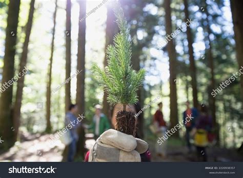 Image result for Tree-Planting Portrait