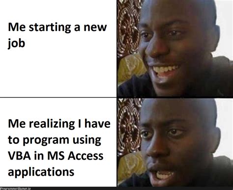 Image result for MS Access Meem