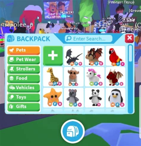 Image result for How to Get Adopted in Adopt Me