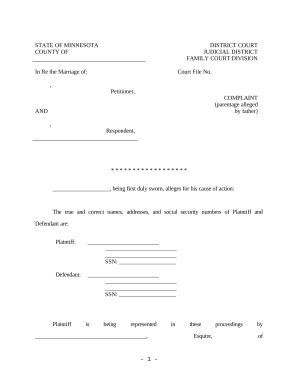 Image result for MN Court Forms