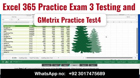 Image result for Excel Practice Exam