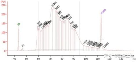 Toradh íomhá ar Cut and Tag Tutorial