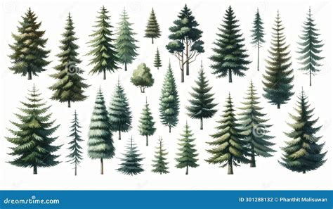 Boho Pine Tree Pattern に対する画像結果