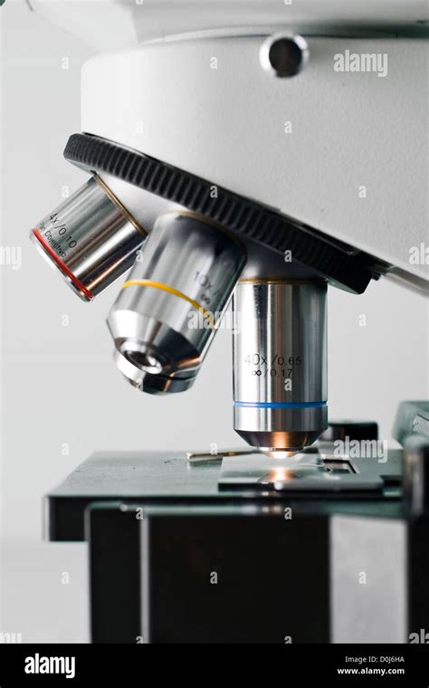 Image result for Microscope Side of Paper