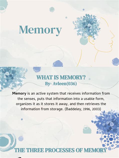 Main Memory Presentation 的图像结果