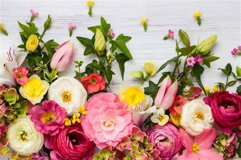 Image result for Flowers to Go On a Cake with Icing