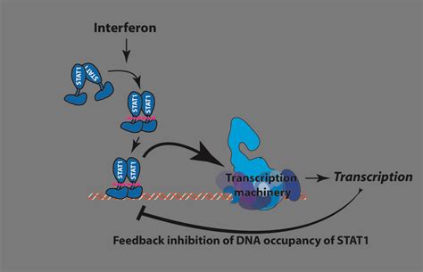 Microbial Process Optimization に対する画像結果