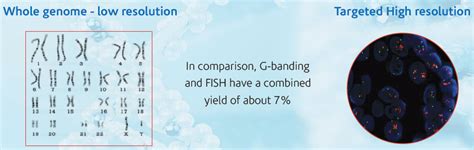 Image result for Microarray Genetic Testing