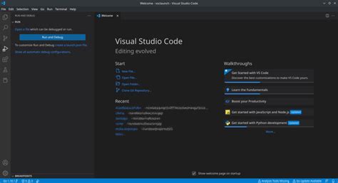 Image result for exe Launcher Visual Study Code