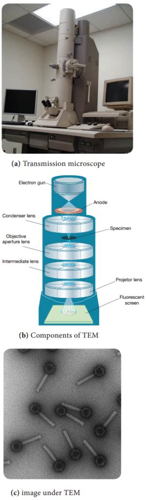 Image result for Components of Electron Microscope