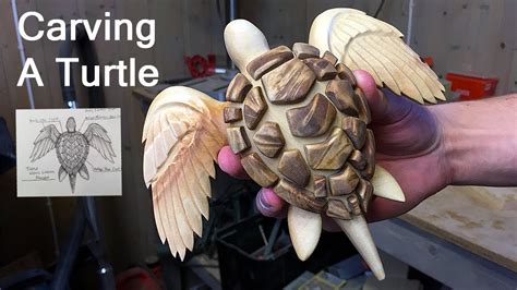 Image result for Turtle Shell Build