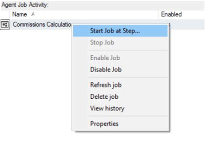Image result for SQL Server Jobs Calendar Overview