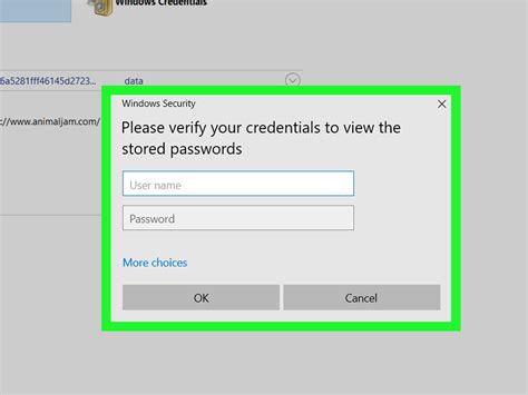 Image result for Windows Credential Manager