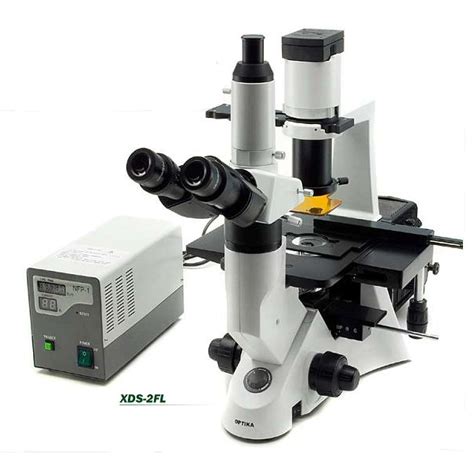 Afbeeldingsresultaten voor Mircroscopes