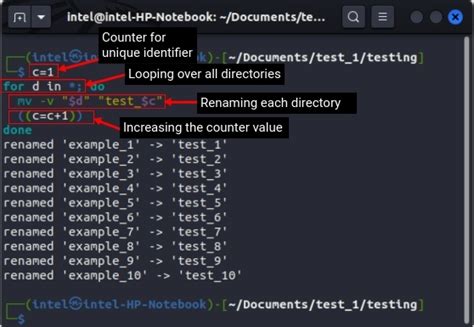 Image result for Rename Directory in Shell Scripting