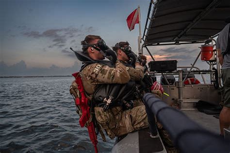 Image result for Combat Controller Books