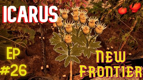 Icarus Prometheus Null Map-साठीचा प्रतिमा निकाल