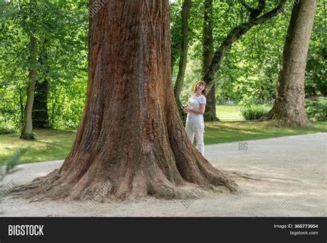 Image result for Strong Tree Trunk