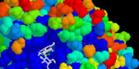 Bildergebnis für Amylase Color